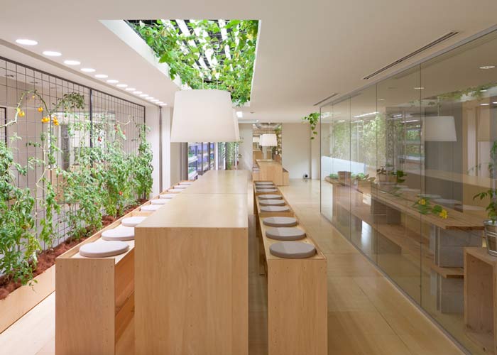 設(shè)置背景，形成對(duì)比