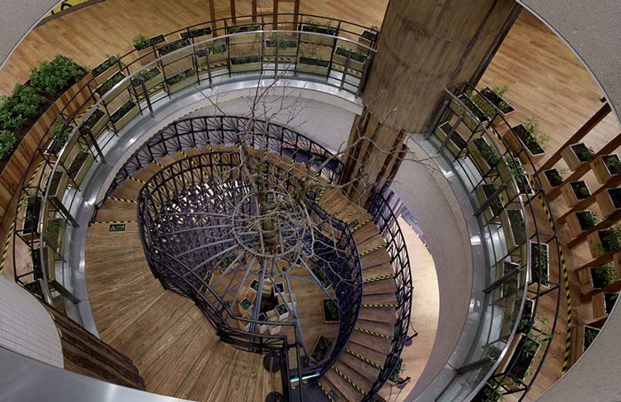 特色生態(tài)餐廳轉梯裝修設計效果圖