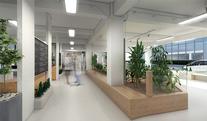 創(chuàng)客空間辦公室過(guò)道綠植裝修設(shè)計(jì)效果圖